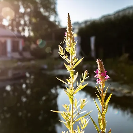 Flora - Kleine Gartenhotel 2*