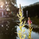 Flora - Kleine Gartenhotel 4*